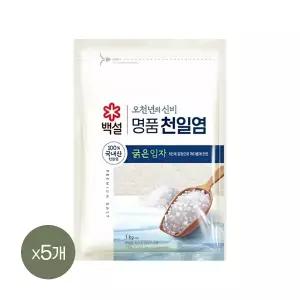 백설 명품 천일염 오천년의 신비 굵은입자 소금 1kg x5개
