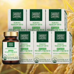 우디선샤인 비건 쌀 현미 마그네슘 영양제 임산부 600mg x 60정 X 6병 (6개월분)