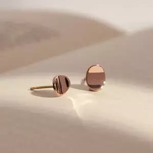 [더블유비엘]14k post 스완 귀걸이   (윙블링)