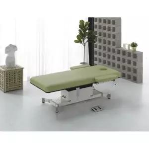 뉴탑 팔걸이형 전동경락베드 KF313F - 주문제작