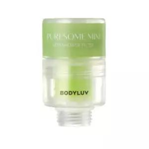 퓨어썸 미니 비타필터 세트 (4개입) (샤워기 교체없이 사용 염소제거 선물 패키지) - 선택