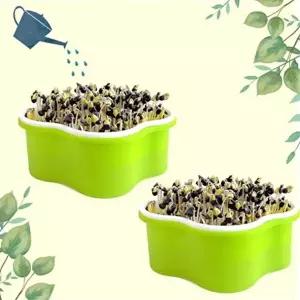 콩나물 키우기 기르기 키트-관찰일지 포함_WCB75D6