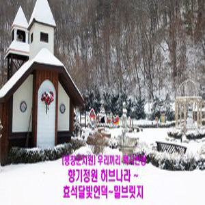 평창군지원 [평창 택시투어 2탄] 향기정원 허브나라~효석달빛언덕~밀브릿지(당일)