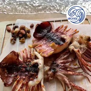 국산 햇 부드러운 반건조오징어 1kg 1.2kg 1.5kg 2kg/ 동해 피데기 마른 말린 파지 파품 상급 반건 건조 오징어 건어물