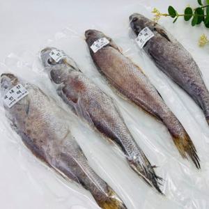 4미 반건조생선 반건조 국내산 민어 대왕 생선 생선구이