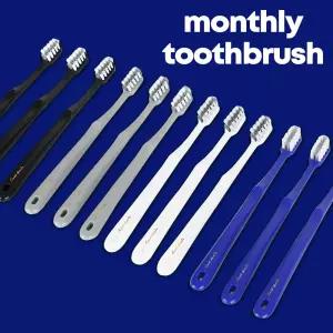 덴클 간편한 휴대용 먼슬리 칫솔 외출용 부드러운 미세모 칫솔 12개