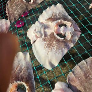 국내 완도산 반건조 간재미 간제미 가오리