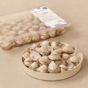 [생물][국산] 서해안 동죽 (500g)