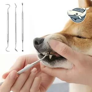 강아지 치아 관리용 스케일링 도구 고양이 전용