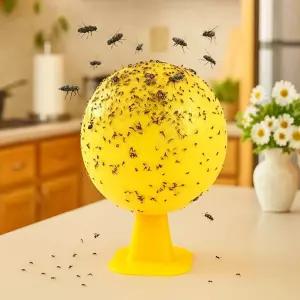 초파리트랩 끈끈이 퇴치 덫 벌레 날파리 날벌레 벼룩 나방 파리