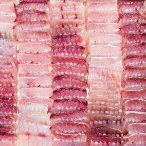 청정바다 흑산도에서 온 숙성 명품 홍어 500g 강한 숙성