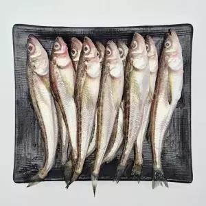 국내산 햇 도루묵 급냉 1kg22759272588515