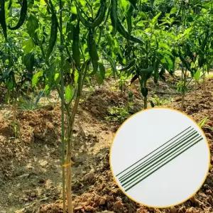 50cm 10P 텃밭 식물지지대 화분 식물지지대 화분지지대 화초지지대 오이지지대