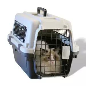대형견 켄넬 항공 대형 운송케이지 화물칸 휴대용