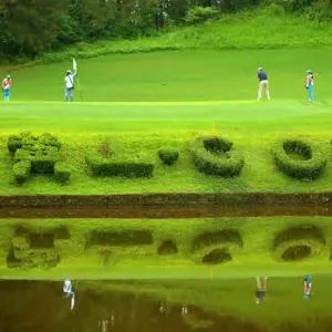 [황산 왕복고속철도] 송백CC 36홀 라운드 + 골프호텔 5호관 2박 패키지