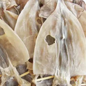 마른오징어 파품 500g 동해안 건조 파품오징어