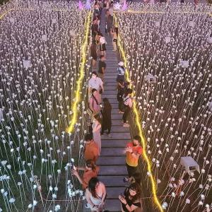 [세부] 어메이징 데이 & 체크아웃 투어 (LG가든 백만송이장미 어메이징쇼 공항드랍)