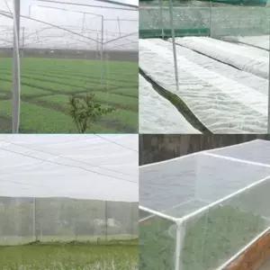 주말농장 원픽마켓 배추 방충망 해충방지 한랭사 한냉사 텃밭