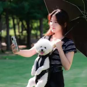 펫테일 강아지 트래킹 앞가방외출 이동 외출용 애견 애견백