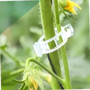 토마토 수박 고추 호박 줄기고정 클립 타이 10개 10P