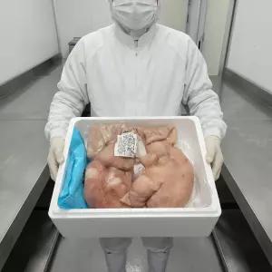 [업소용 도매] 당일도축 한돈 돼지부속 돼지머리 오소리감투 내장