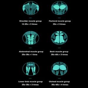 고주파 진동 허리 마사지기 빠른 회복 초저소음 작동 심부 조직 타격 내구성