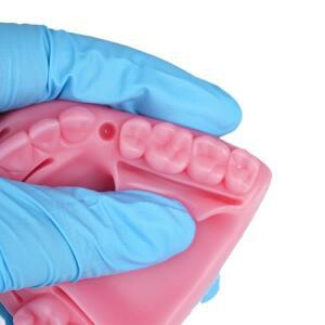 치과 구강/잇몸 봉합 수술 실습용 의료 피부 패드 모델 치주염 교육 훈련 도구