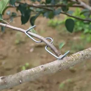 나뭇가지 고정 클립 집게 복숭아 화초 줄기 줄기 묘목 나무가지 지지대