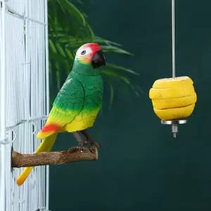 2개입 스테인리스 스틸 새 꼬치 튼튼한 새 먹이 홀더 과일 채소 스틱 앵무새 케이지 앵무새 먹이통