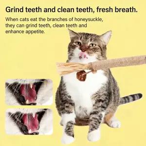 Mutianqi 이갈이 막대 고양이 장난감 자극형 지루함 해소 고양이 페퍼민트 볼 놀잇대 물림 방지 용품