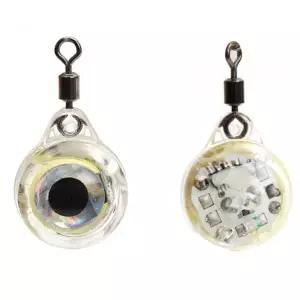 두족류 조과 낚시집어등-WFHUPI1