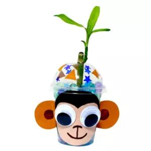 2인용 유치원 봄만들기 워터비즈 투명컵 원숭이 개운죽 화분만들기 수경재배 세트