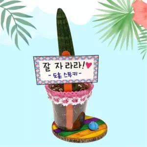 3인용 초등 연계수업 스투키 나무심기 화분만들기 레이스 화분꾸미기 체험학습 재배