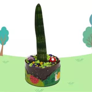 3인용 식목행사 나무심기 체험용 스투키 숲 화분 만들기 키우기 학습 과학 재배 자연