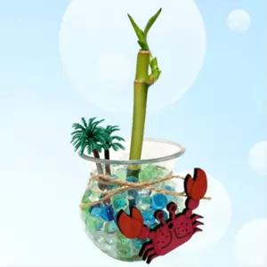 5인용 꽃게장식 개운죽 식물 키우기 미니어항 꾸미기 과학 만들기 학습 세트 재배기