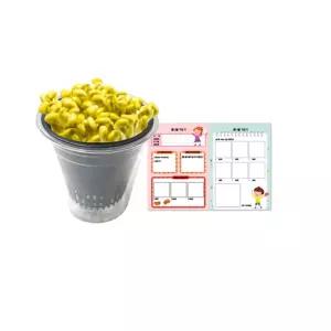 과학 체험수업 씨앗발아 식물관찰일지 미니컵 콩나물 키우기 세트 어린이 재배 학습