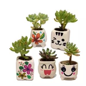 5인용 초등 다육이 식물화분 모양 그리기 색칠하기 과학체험 만들기 자연학습 재배