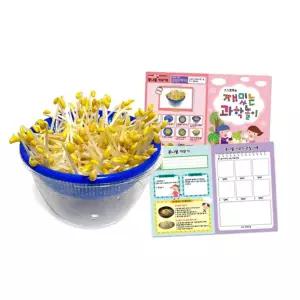 식물의한살이 과학체험 씨앗발아 콩나물 키우기 관찰기록지쓰기 교육교재 키트 재배