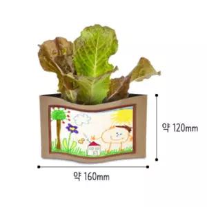 과탐 식물관찰 상추모종 키우기 플랜테리어 관찰기록지세트 기르기 체험학습 재배