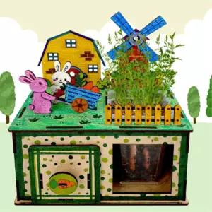 초등 뿌리식물 당근심기 성장관찰 투명화분 꾸미기 키우기 과학체험 수경재배 만들기