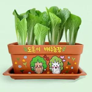 과학 탐구수행 얼갈이배추 키우기 가드닝 화분 관찰기록지세트 창체 창의력 사회성