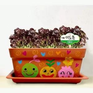 과학 탐구수행 상추키우기 가드닝 화분 관찰기록지세트 자연 수경재배 교육교재 학습