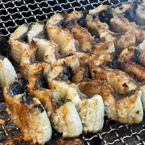 [푸드공작소]통영 자연산 바다장어 1kg 소스포함 크기선별