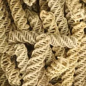 [애니몰파크]꽈배기 등나무 10P 앵무새 장난감 놀이 용품