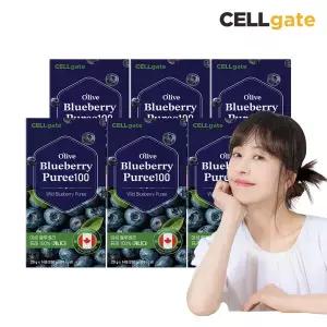 셀게이트 올라이브 블루베리 퓨레 100 14포 x 6박스 / 100% 생과 퓨레