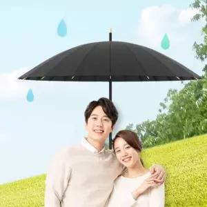 골프 태풍 살많은 장 우산 의전용 24프레임 수동우산