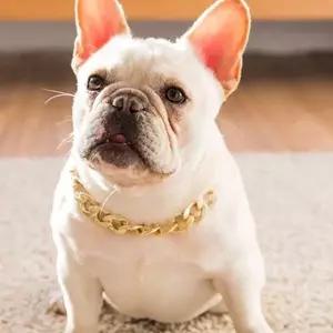 SPS 강아지 금목걸이 불독 체인 반려동물 고양이 촬영 소