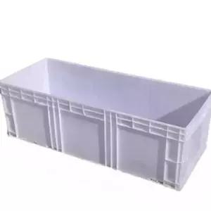 관상어 사육상자 물고기 그레이 대형 거북이 관상어키우기