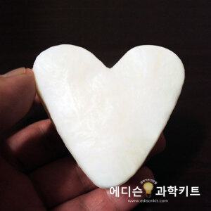 과학교구 주물럭비누만들기 10인용