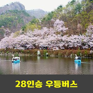 마이산 벚꽃축제 암마이봉 탑사 안내산악회